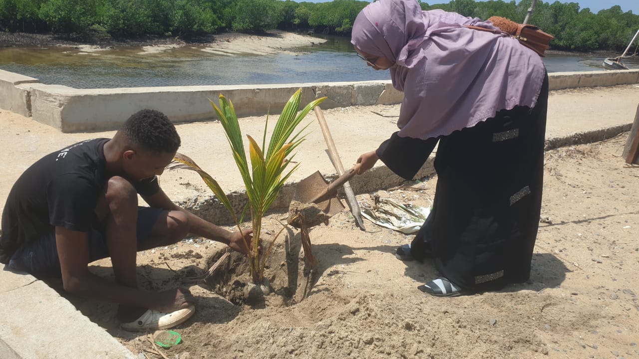 Reforestation Projects