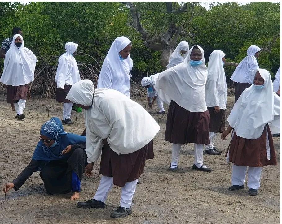 Women planting mangroves in Lamu