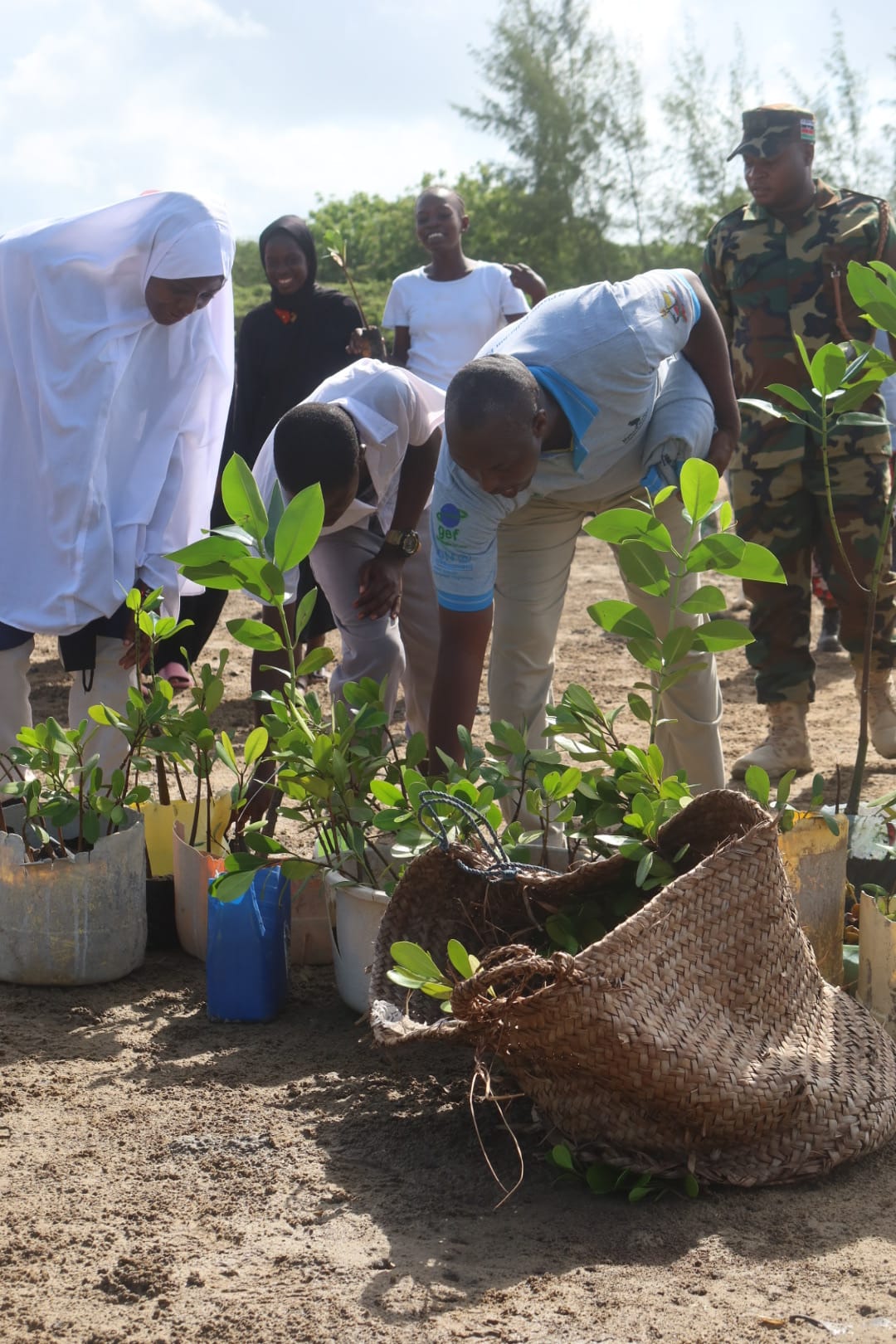 Community members working together to plant mangroves